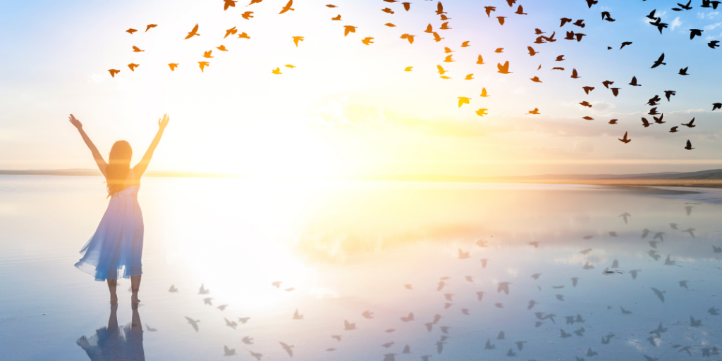 The Freedom Programme SeptDec 2023 NIDAS Nottinghamshire